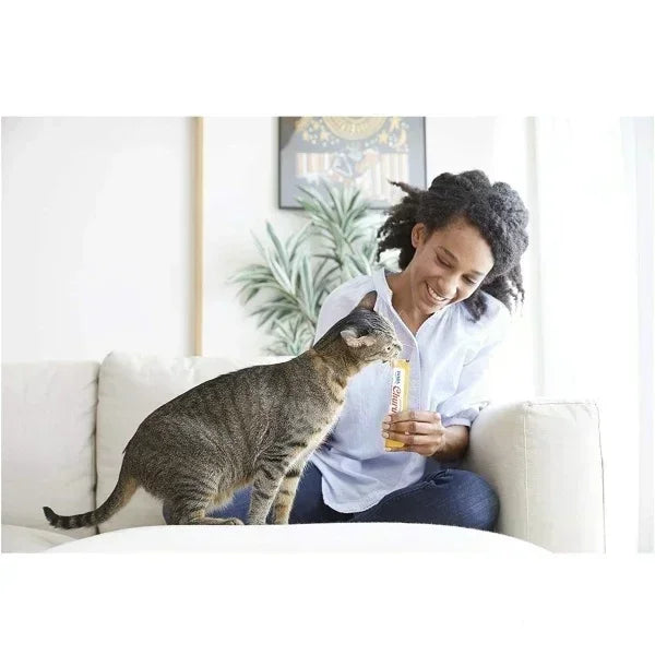 Kadın evde kanepede otururken kedisine ödül maması verir, kedi ödül mamasını kokluyor.