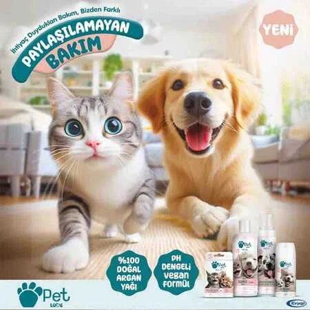 Kedi ve köpek yanında Pet Love doğal argan yağlı tüy bakım yağı, ev dekorlu ortamda.