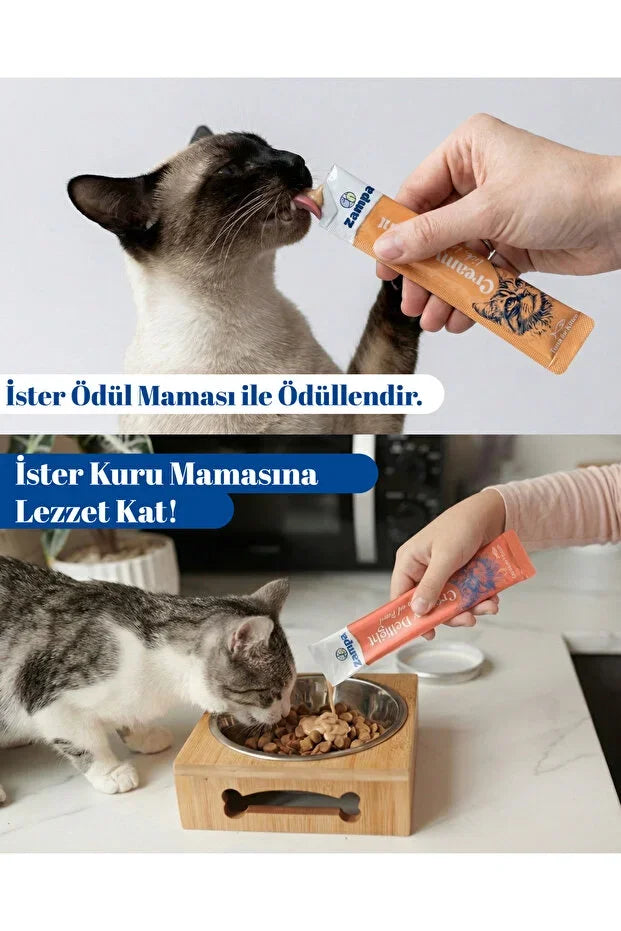 Kedi ödül maması kreması tüpünden beslenen ve mamaya eklenen iki farklı kedi.
