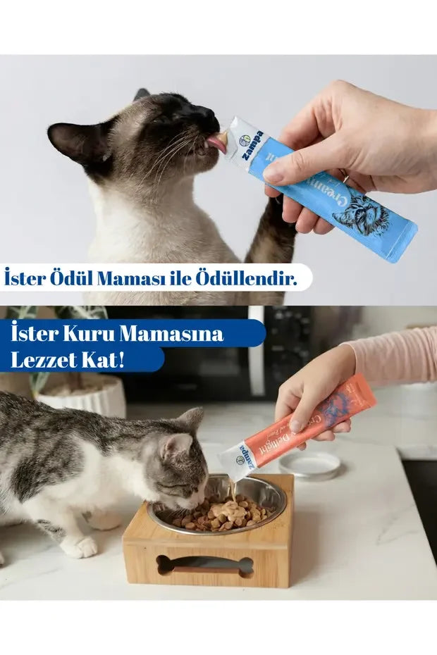 Kedilere ödül maması ve kuru mama üzerinde kremalı kedi ödül maması sunuluyor.
