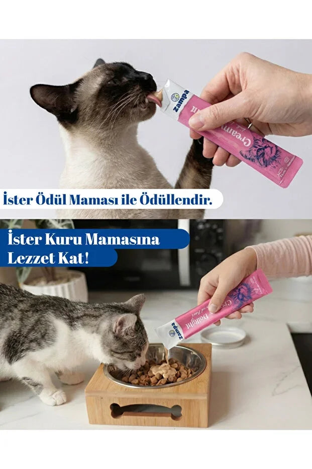 Zampa Creamy Delight ton balıklı somon kedi ödül maması kullanan kediler, krem mama tüpüyle beslenen ve kuru mamaya dökülen sıvı kedi ödülü.