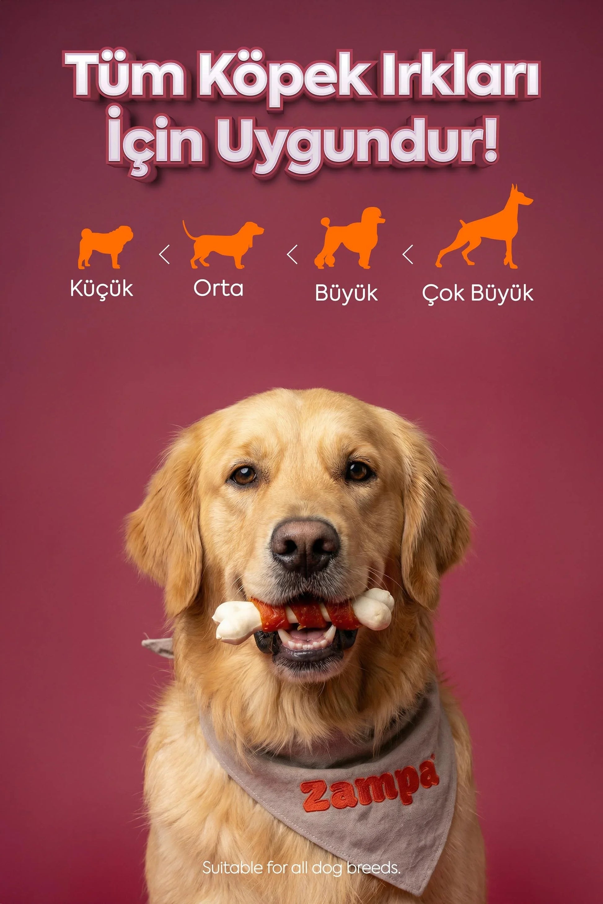 Dana etli ödül maması tutan köpek, tüm köpek ırklarına uygun atıştırmalık