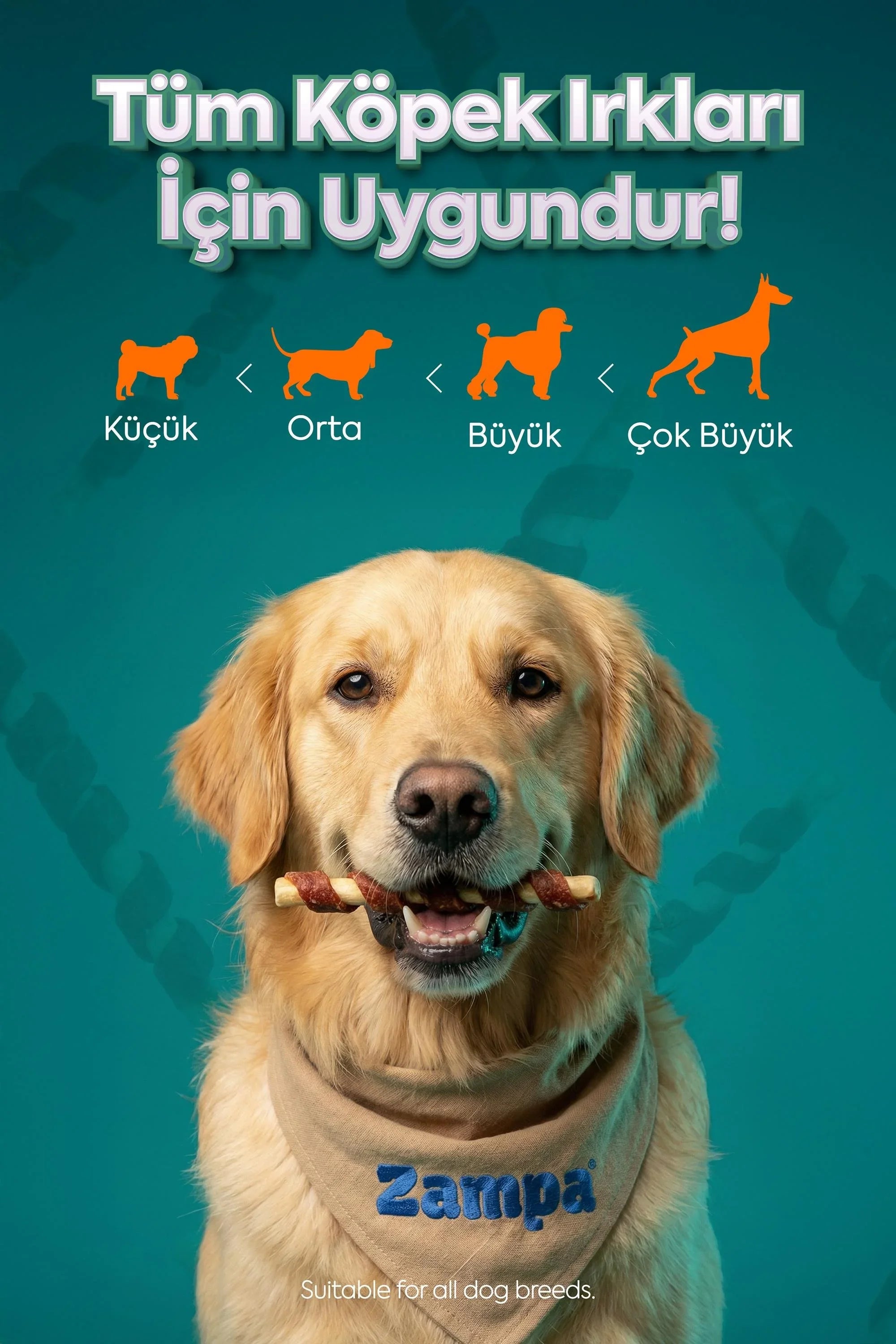 Kuzu etli köpek ödül maması çubuğunu tutan golden retriever, arka planda tüm ırklara uygunluk görselleri.