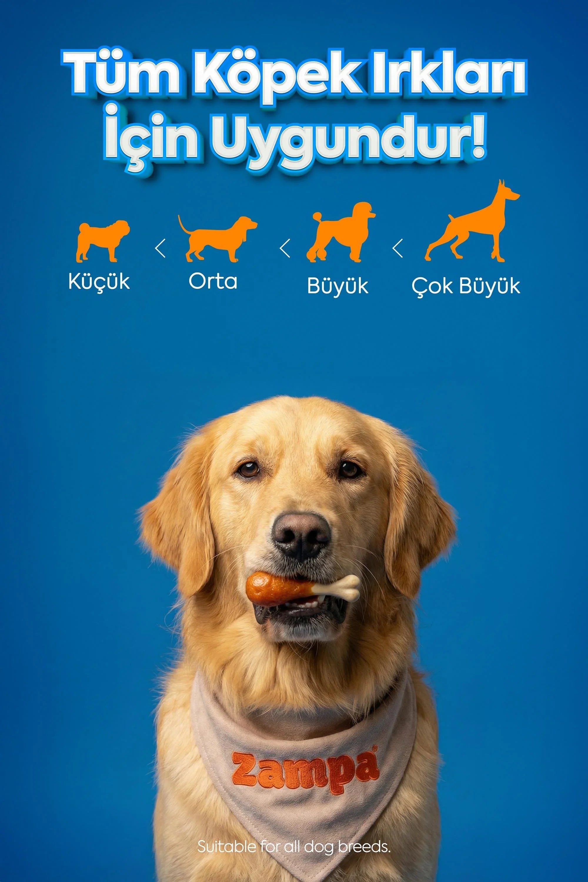 Alt fonu mavi, ağzında ödül maması tutan sarı bir köpek ve tüm köpek ırkları için uygun ibaresi.