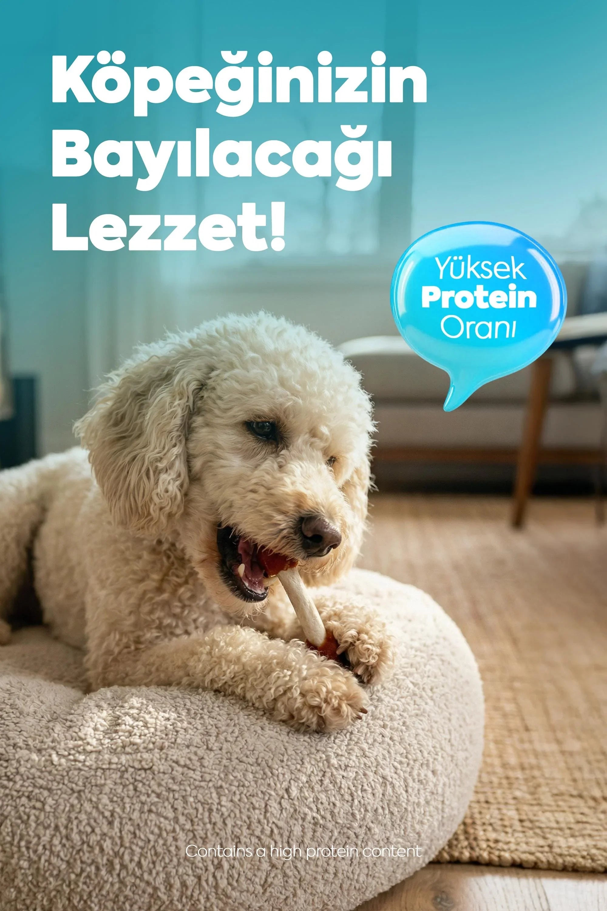 Köpek ödül maması kemik çiğneyen mutlu köpek, yüksek proteinli evcil hayvan atıştırmalığı