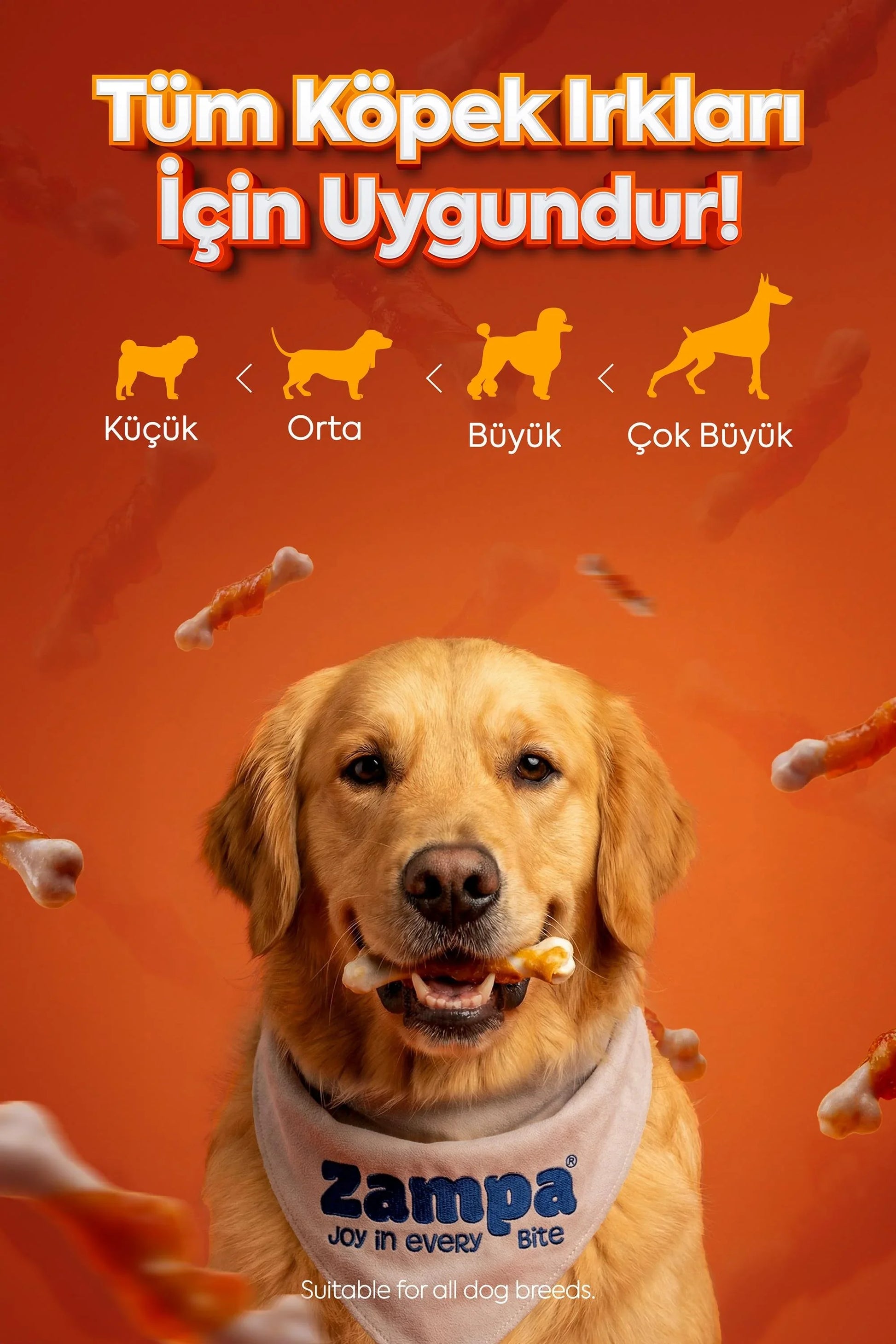 Turuncu arka planda, ağzında tavuklu ödül maması tutan köpek ve etrafında ödül mamaları, tüm köpek ırklarına uygun.