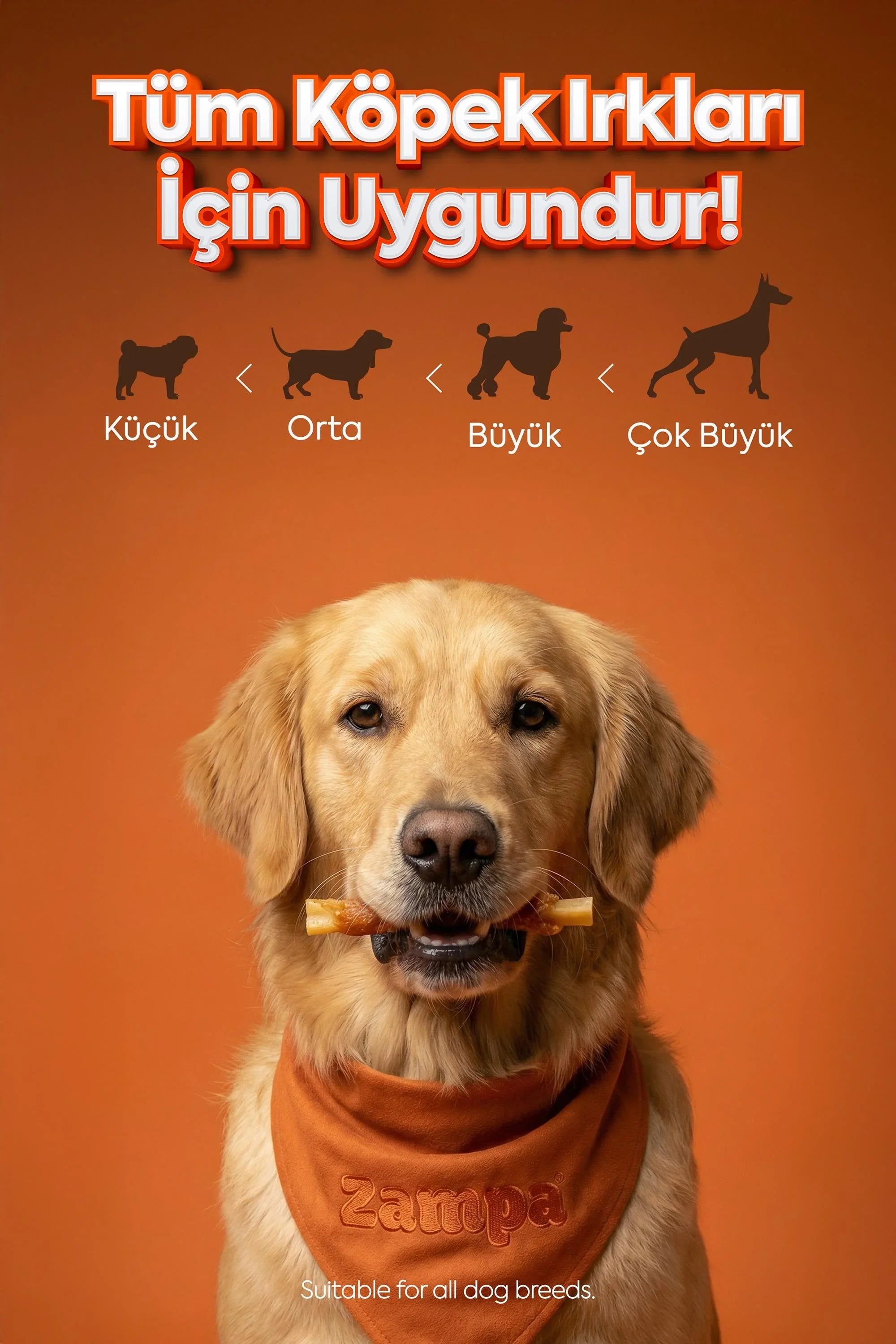 Tavuklu ve sütlü köpek ödül maması tutan köpek, tüm köpek ırklarına uygun ürün görseli