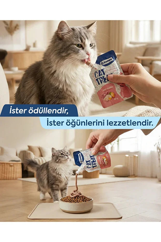 Tavuk etli ve ton balıklı zampa kedi ödülüyle beslenen gri-beyaz kedi, evde.